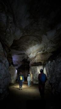 IN THE METRO IN THE METRO