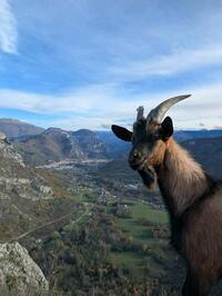 Enquiquineuse photogénique Enquiquineuse photogénique