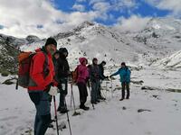 Pieds dans la neige Pieds dans la neige