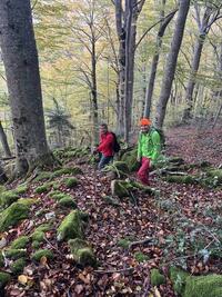 De petits sentiers comme on les aime De petits sentiers comme on les aime